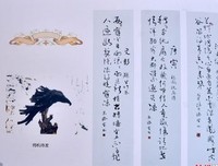碟形世界：猫和少年魔笛手经典读后感10篇