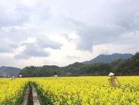 描写残垣的语句摘抄