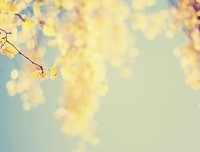 一个人的时候，你一定要看看这篇文章！