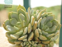 《爆萌宠妃》的读后感10篇