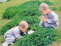 关于子我的格言
