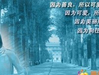 珍惜你所拥有的爱