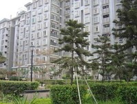 《我住在这里的理由》好看吗？经典观后感10篇