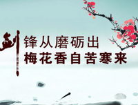 最经典的《我所理解的生活》好段摘抄