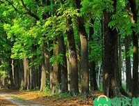 你不必按照别人的经验去生活读后感10篇