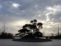 逆光而行的读后感10篇