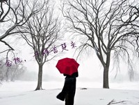 关于糟糟的唯美语录