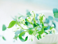 《龙族3·黑月之潮》小说句子