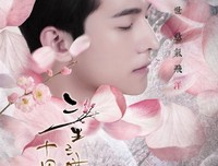 最新的《三生三世十里桃花》经典句子大全