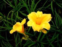 《有客来兮》读后感10篇