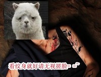 张起灵的名句_关于张起灵的名句