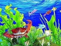 《致深陷海底的你》经典观后感集