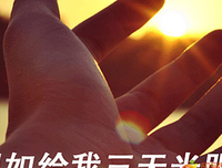 《造物的日常》读后感10篇