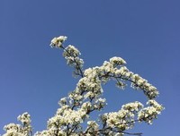 孤独是生命的礼物读后感精选10篇