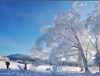 《雪花飘落之前》经典读后感10篇