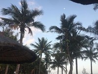 《世界的凛冬》读后感10篇