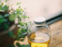 最经典的冷青衫精彩语录