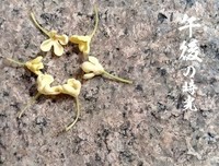 岁月静好，时光安好