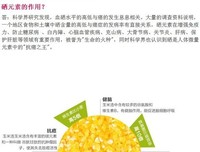 太帅的玉米没价值