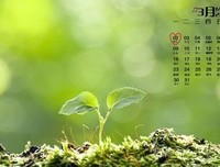 挖财：理财就是身边事经典读后感10篇