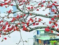 萝西：我还在路上