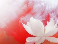  你值得真正的快乐 