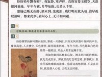 《繁花盛开的夏天2》的读后感10篇