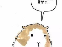 《是我把你弄哭了吗？》读后感精选10篇