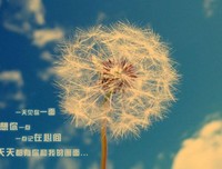 好的爱情，是1/2+1/2=1