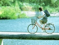 关于元芳的语句