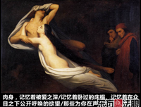 莫里森的名句_关于莫里森的名句