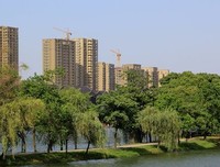 最新的《一个人的好天气》小说书摘大全