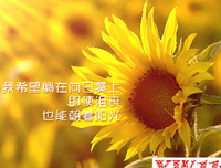 最新的曹操15句经典名言