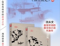 最经典的《战起1938》小说书摘大全