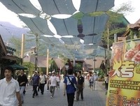 《悄然之星》观后感精选10篇