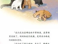 《最后一个故事，就这样啦》读后感10篇