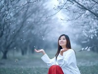 《偷香窃爱》的读后感10篇