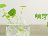 我不想只做大 哥哥 