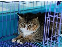 余生，找一个能温暖你的人！