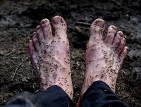 《有我在，没人敢动你一根寒毛！》读后感10篇
