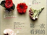 《别爱上任何人》读后感10篇