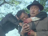 《南侨机工英雄传》观后感精选10篇
