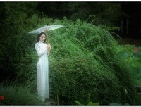 关于莫愁的语句