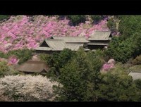 《投靠女与出走男》经典观后感10篇