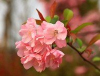 生活里的感动常在