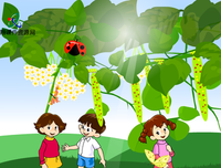 《远方之镜》经典读后感10篇