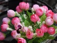 关于藤花的座右铭