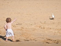  全职 高手 1的读后感10篇