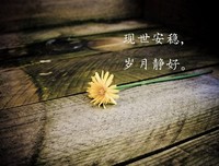 《时光深处》读后感精选10篇