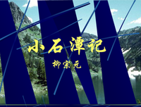描写柳宗元的经典句子